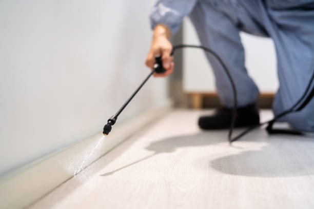 Certified termite inspector examining foundation in Connellsville